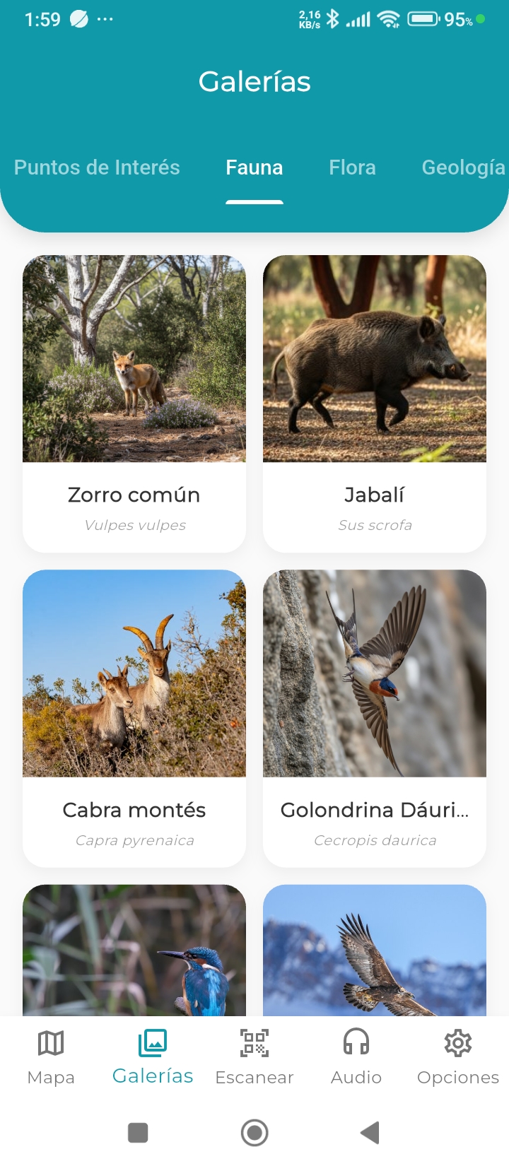 Galeria de fauna