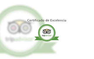 Certificado de excelencia Tripadvisor