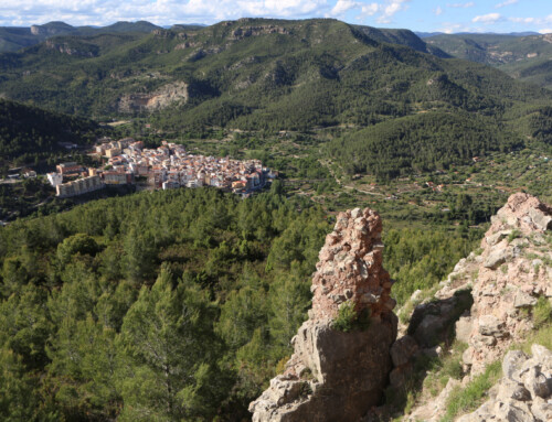 The trail of La Bojera